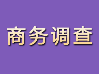 洪山商务调查